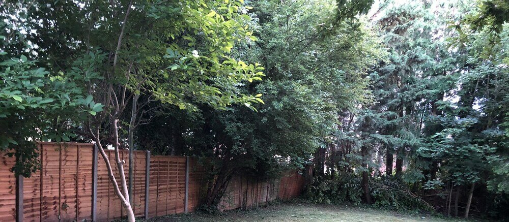 Фото Whole House Cottage with huge Garden