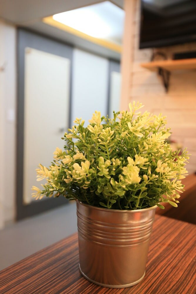 Фото Hostel du Temps Passe