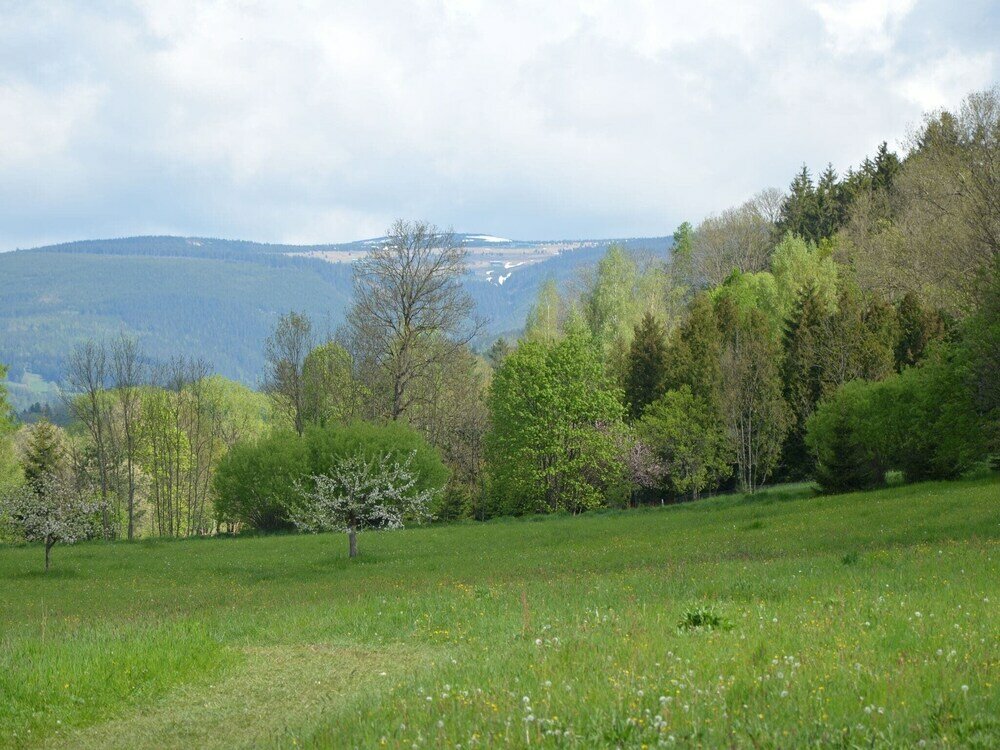 Фото Peaceful Apartment in Bohemian With Private Terrace