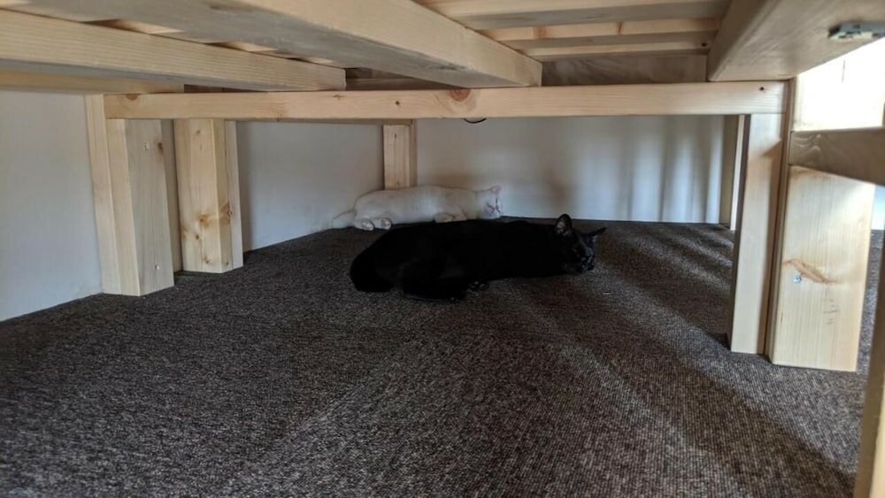 Фото Mad Cat Hostel Osaka & Bar