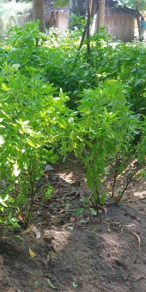 Фото D&j Stamford Hotel - Hostel