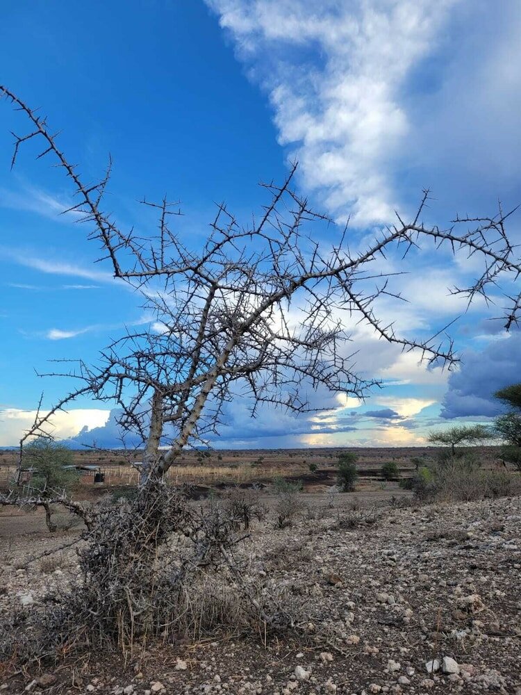 Фото Maasai Eco Boma Lodge