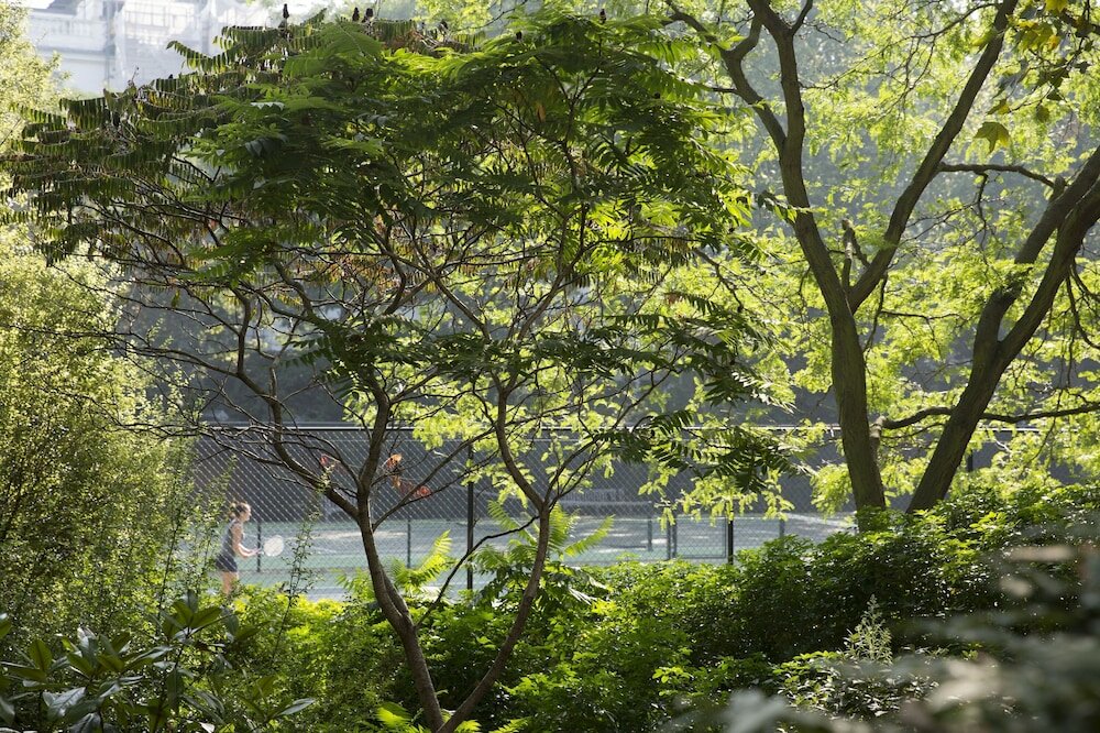 Фото Jumeirah Carlton Tower