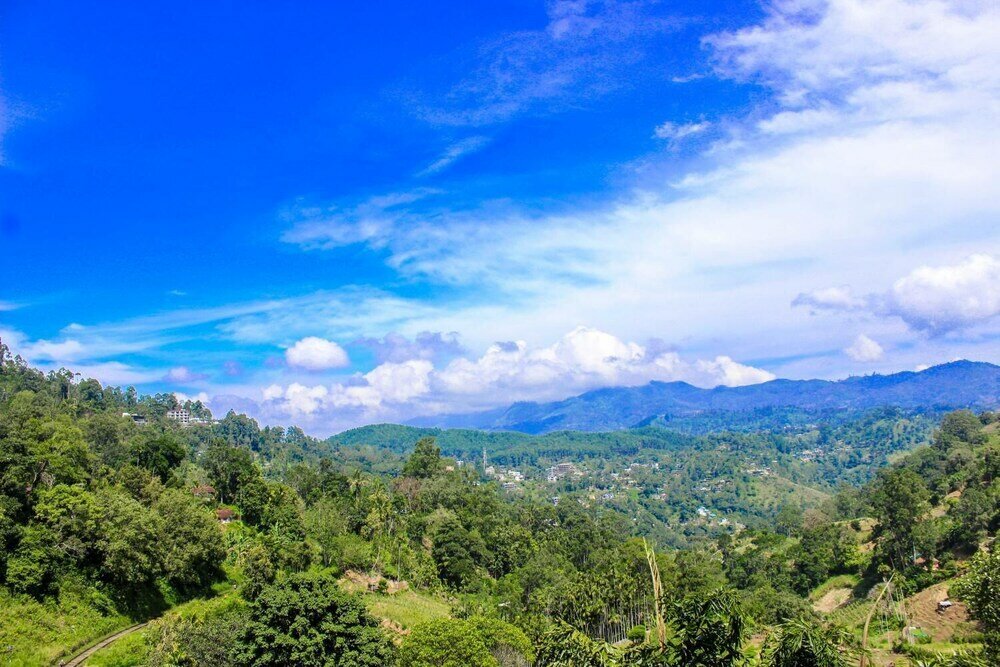 Фото Rockvila Guest House