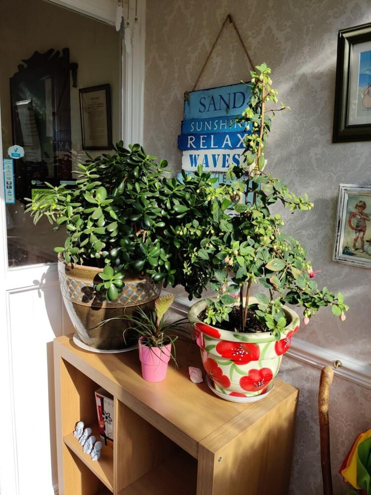 Фото Cameron Court B&b