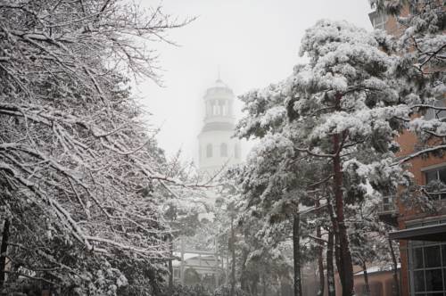 Фото Mayfield Hotel Seoul