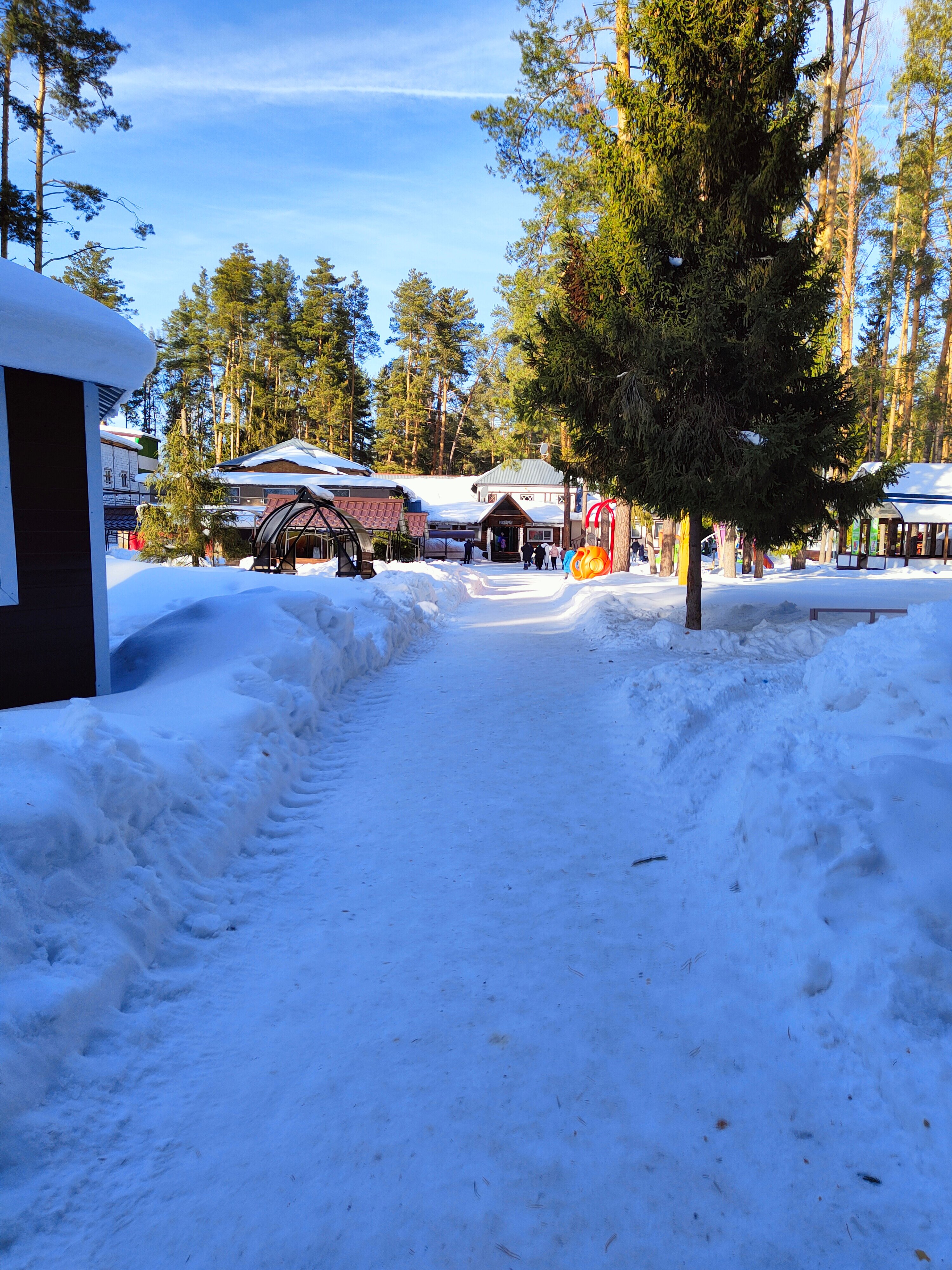 Фото Спутник