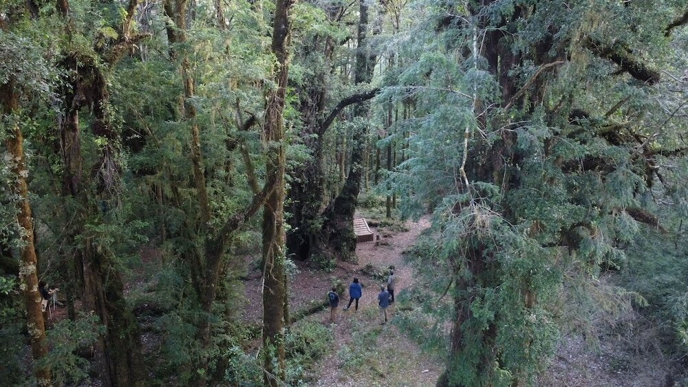 Фото Hotel Parque Tepuhueico