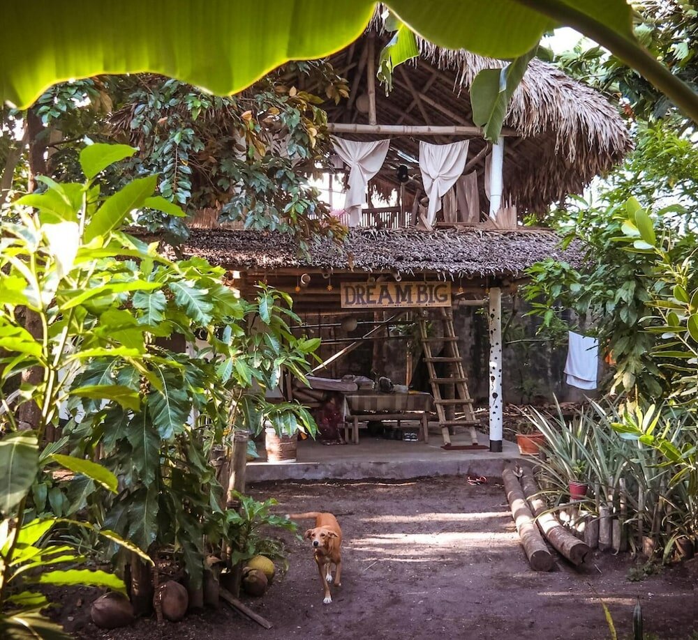 Фото Dream-Big Eco Hostel