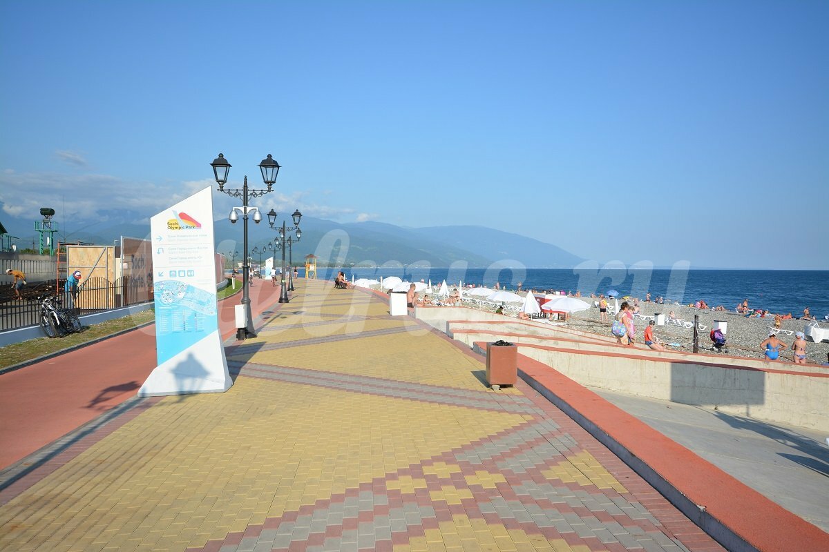 Фото Джунгли у моря