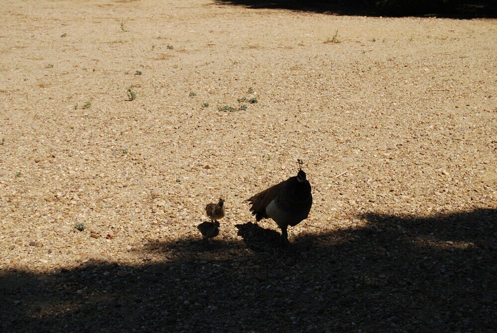 Фото Vivienda Rural el Retorno