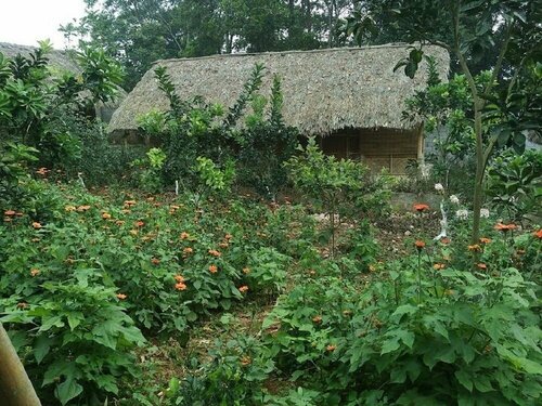 Гостиница Family Homestay Ba VI - Hostel