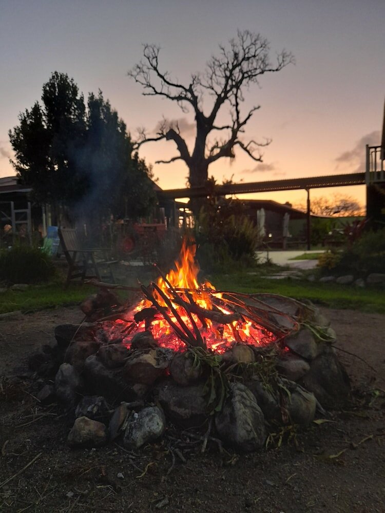 Фото Kur Cow farm