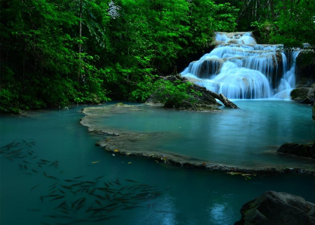 Фото Comsaed River Kwai Resort