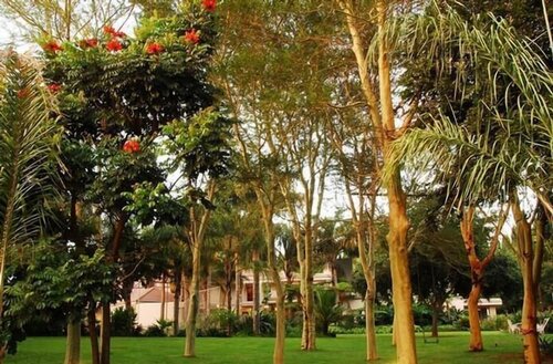 Гостиница Villa Amor в Претории