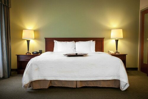 Гостиница Hampton Inn & Suites Springfield-Southwest в Спрингфилде