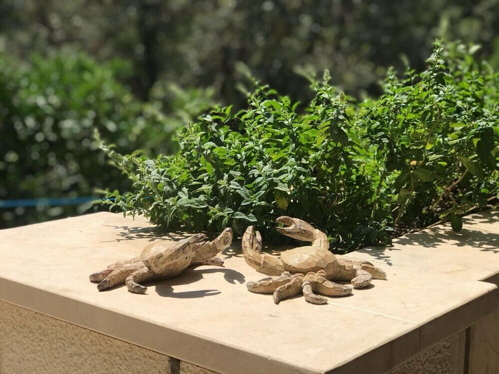 Фото Holiday Home Island Gem