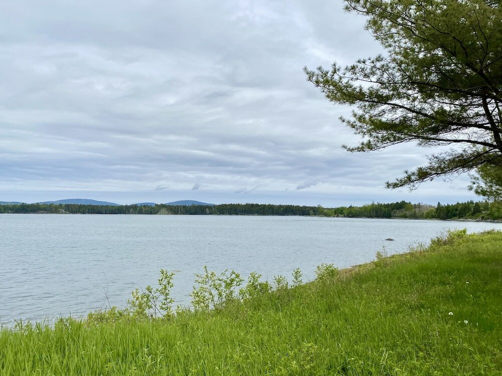 Фото Island View Hotel Bar Harbor