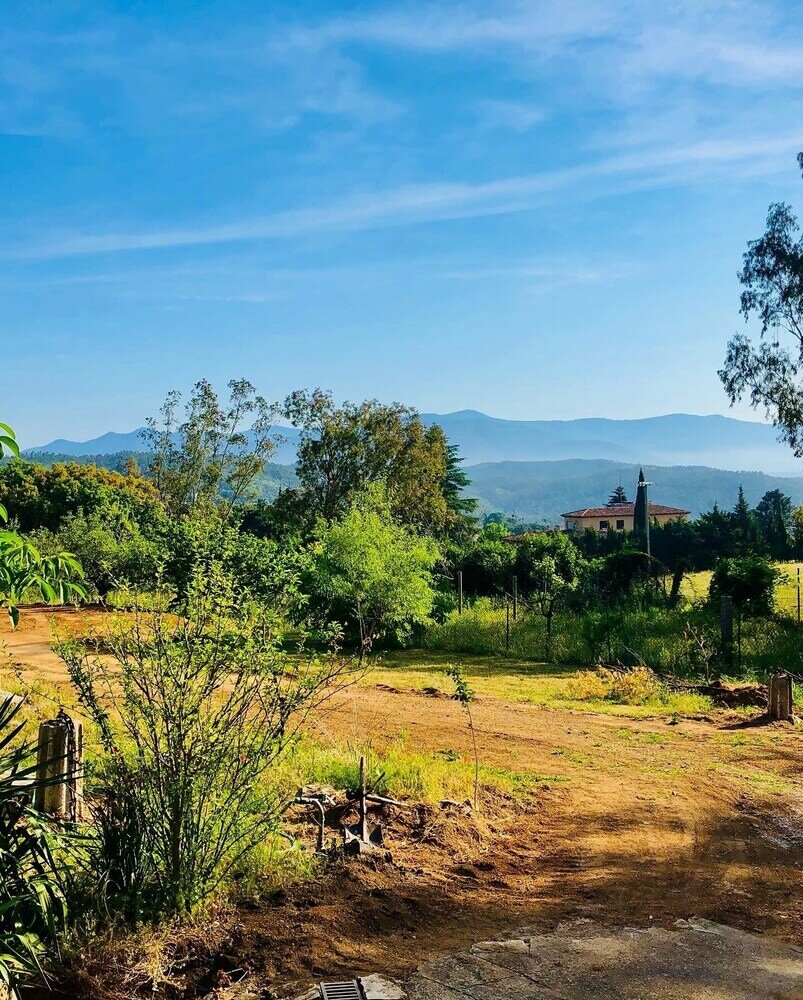 Фото Masia Mimosa