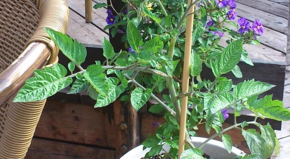 Фото Hotel Postgaarden