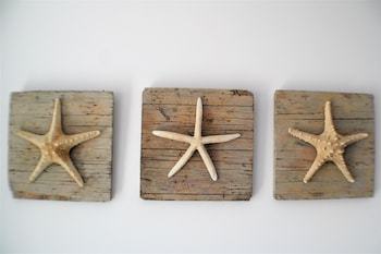 Фото Eden Beach Apartments