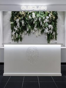 Гостиница The Plaza Hotel