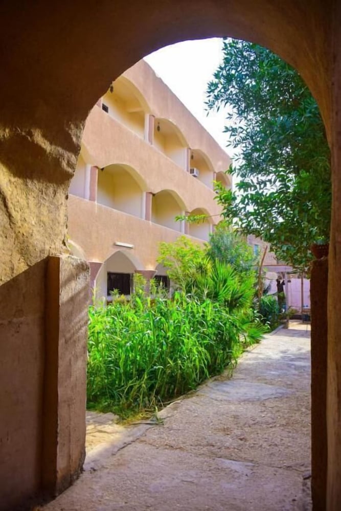 Фото Pharaonic Rose