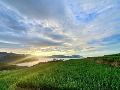 Гостиница Pu Luong Jungle Lodge в Провинции Тханьхоа