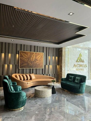 Гостиница Acnos Hotel в Хошимине
