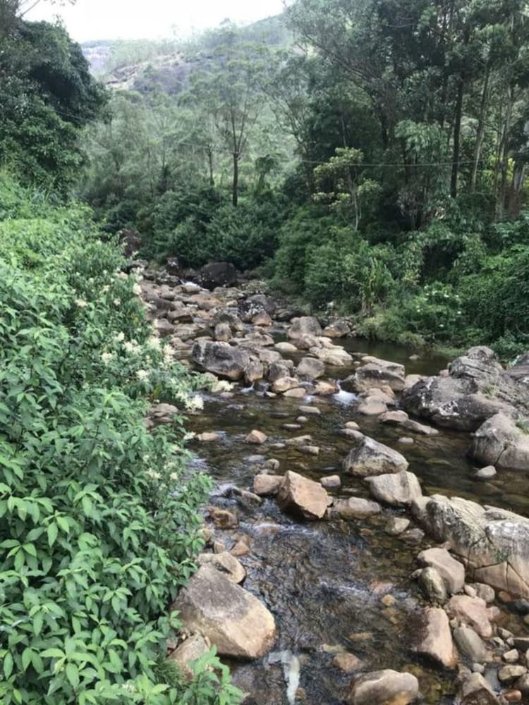 Фото Pure Land Villa