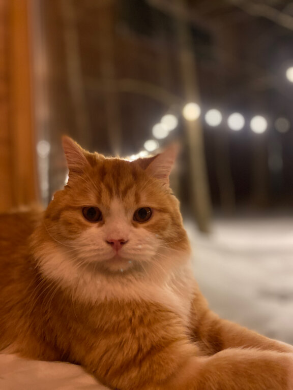 Фото Лесной Привал