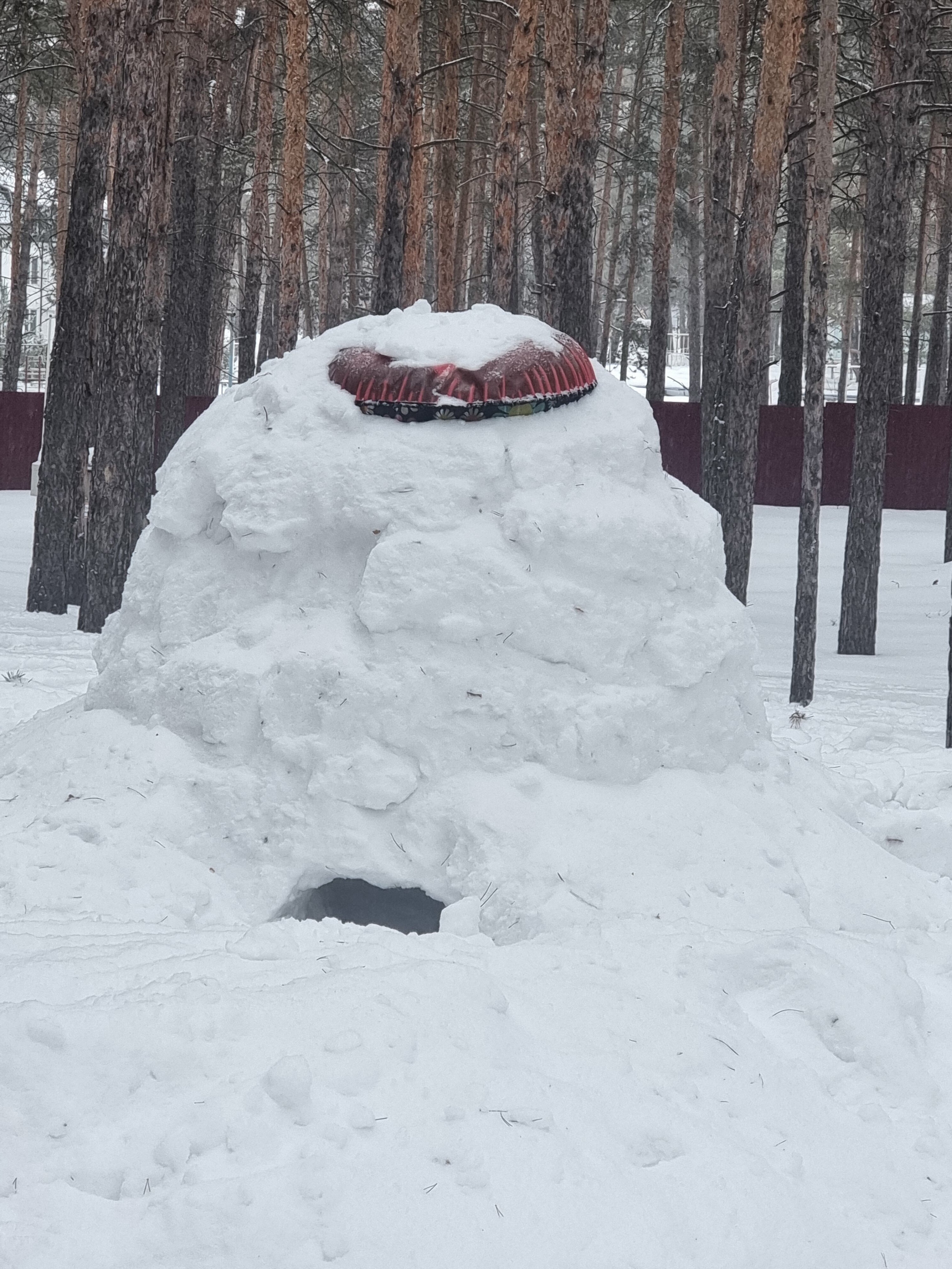 Фото ФорРест