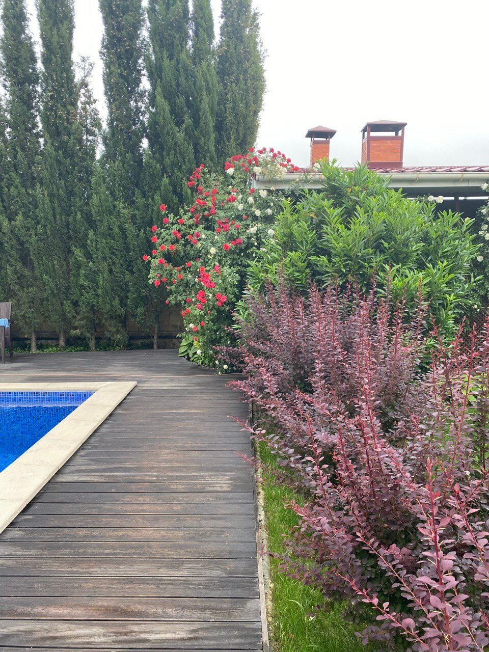 Фото Sineva Del Sol