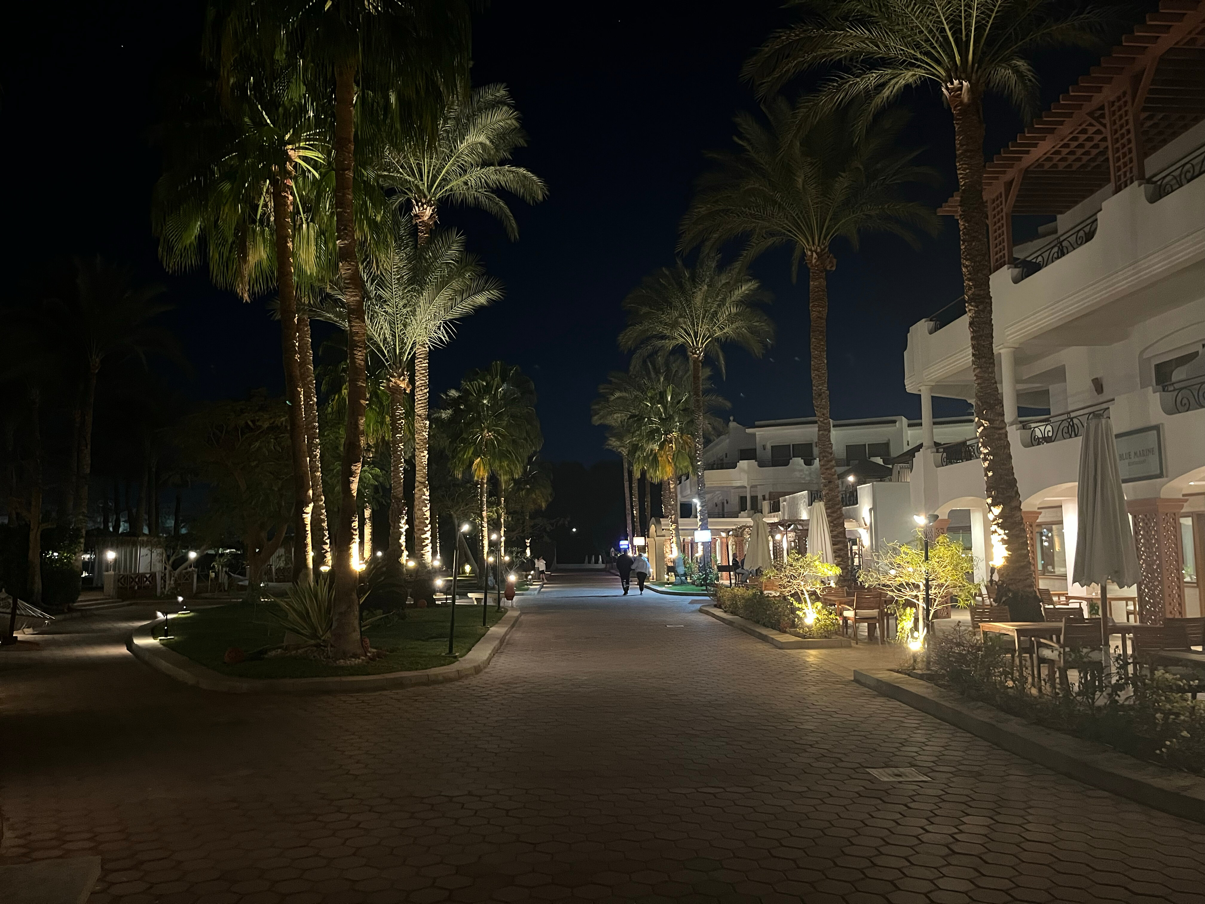 Фото Iberotel Palace