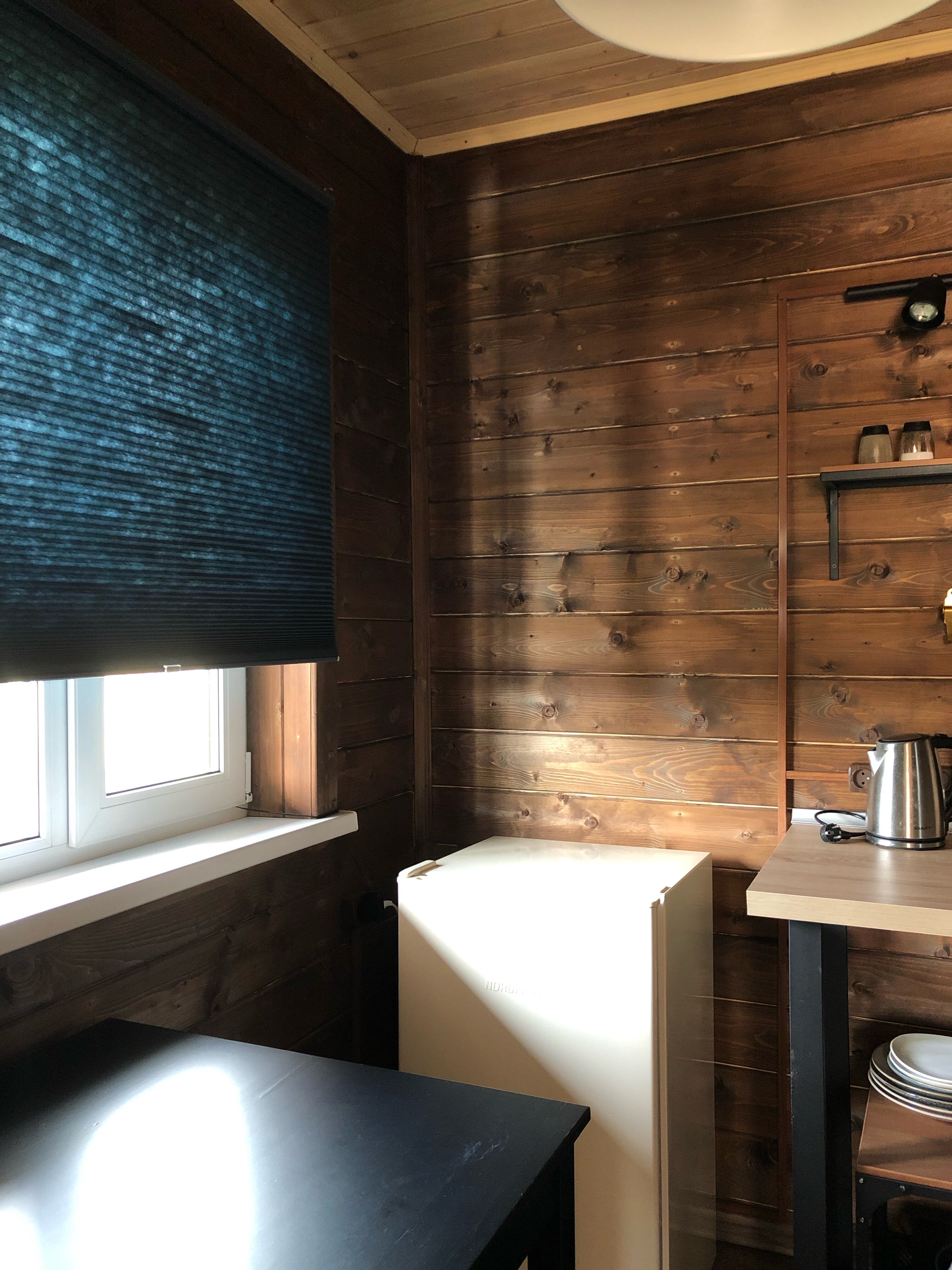 Фото Кот и Лось