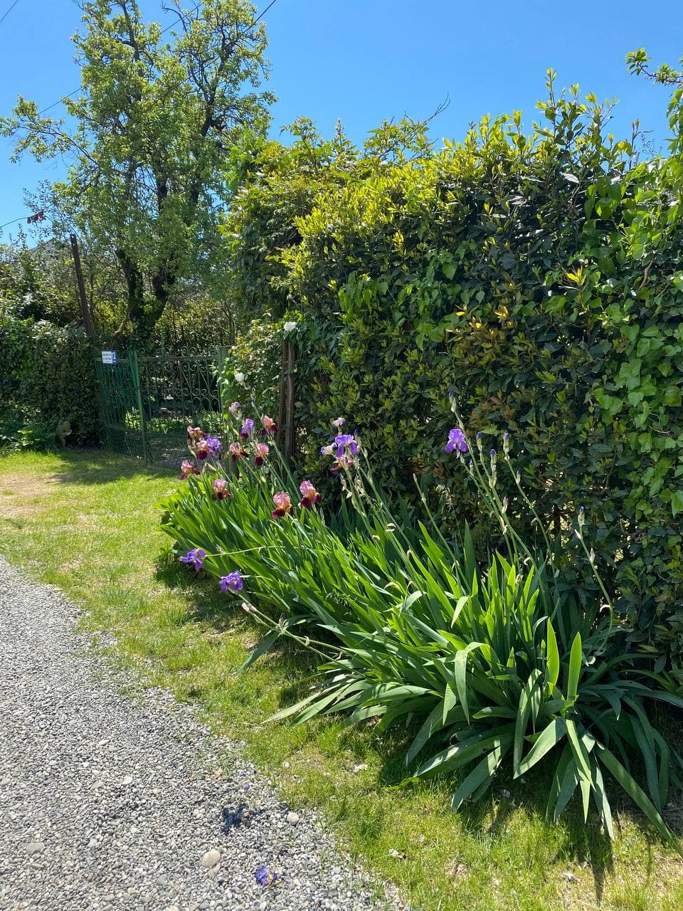 Фото Гостевой дом Гагра