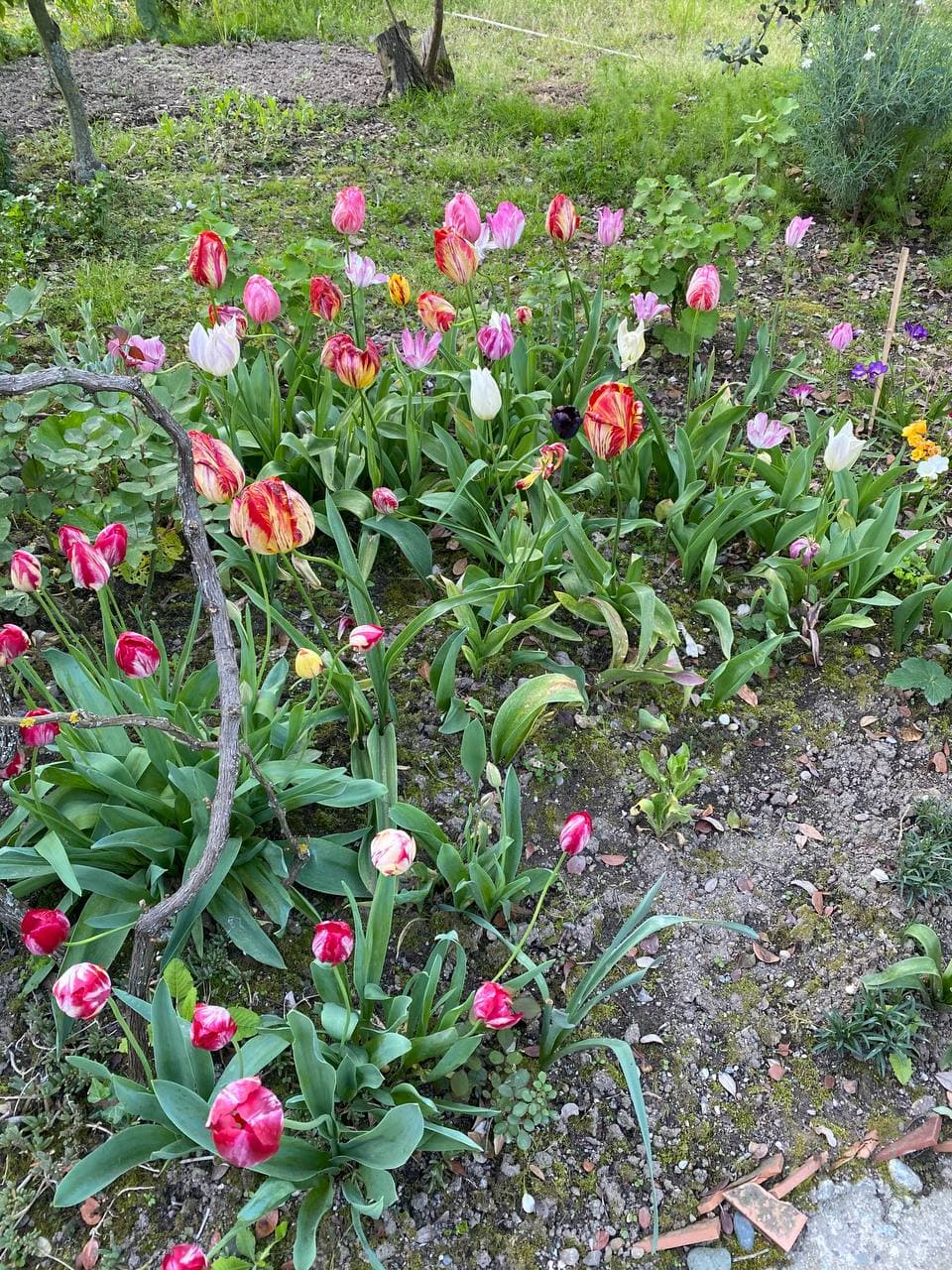 Фото Гостевой дом Гагра