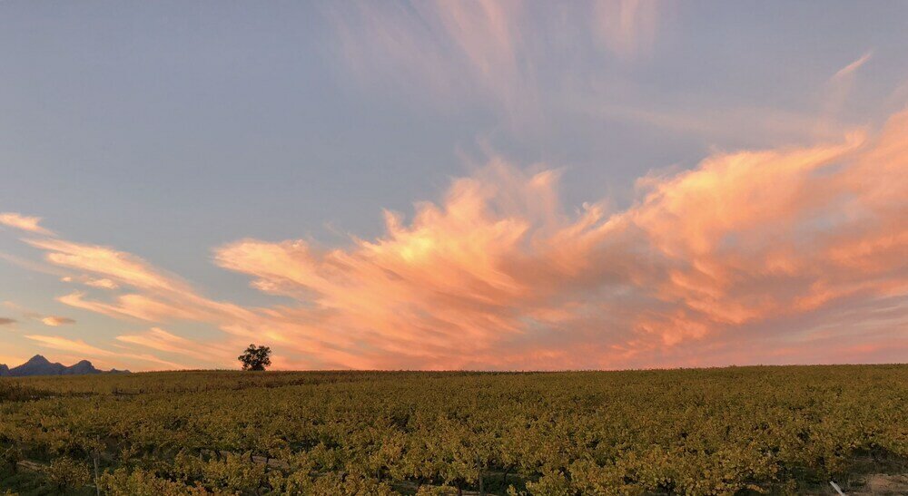 Фото Wellington Country House