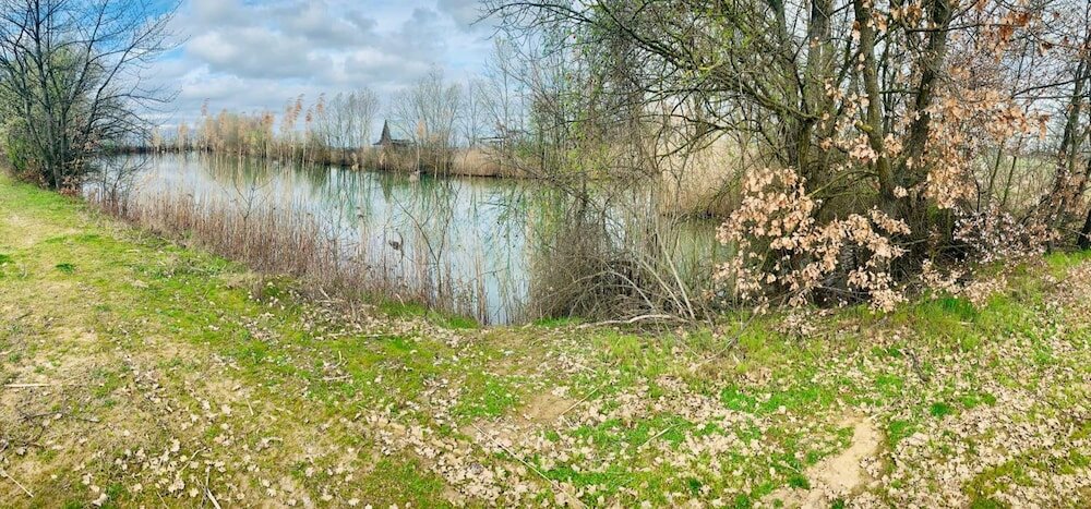 Фото B&b Le Strade del Gavi