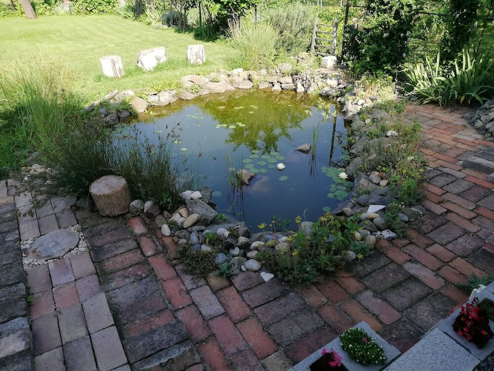 Фото Studio Apartments Korosteljev