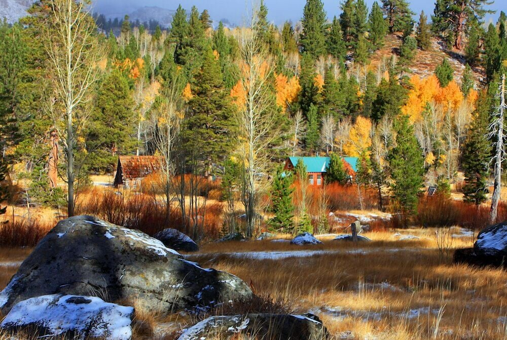 Фото The Davies Family Inn