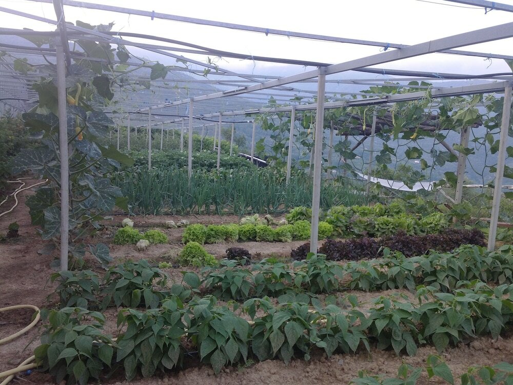 Фото Agriturismo Al Pagan