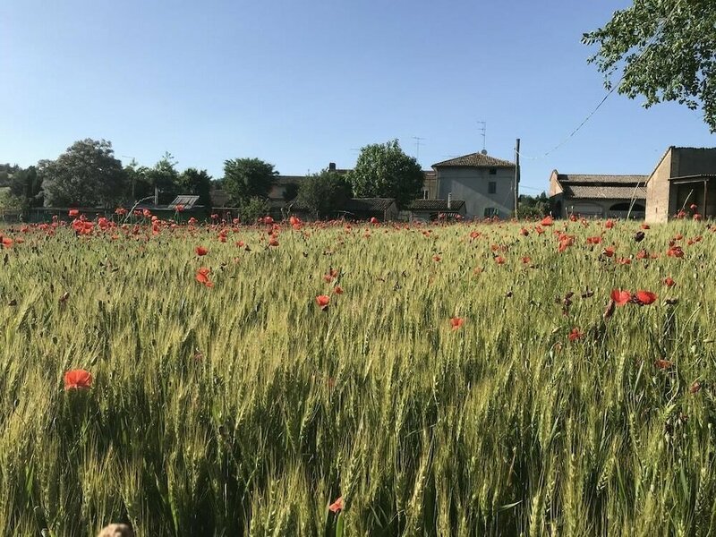 Гостиница Tra i Campi Di Papaveri