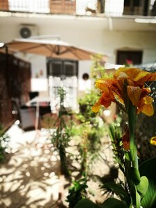 Гостиница Bella Palermo