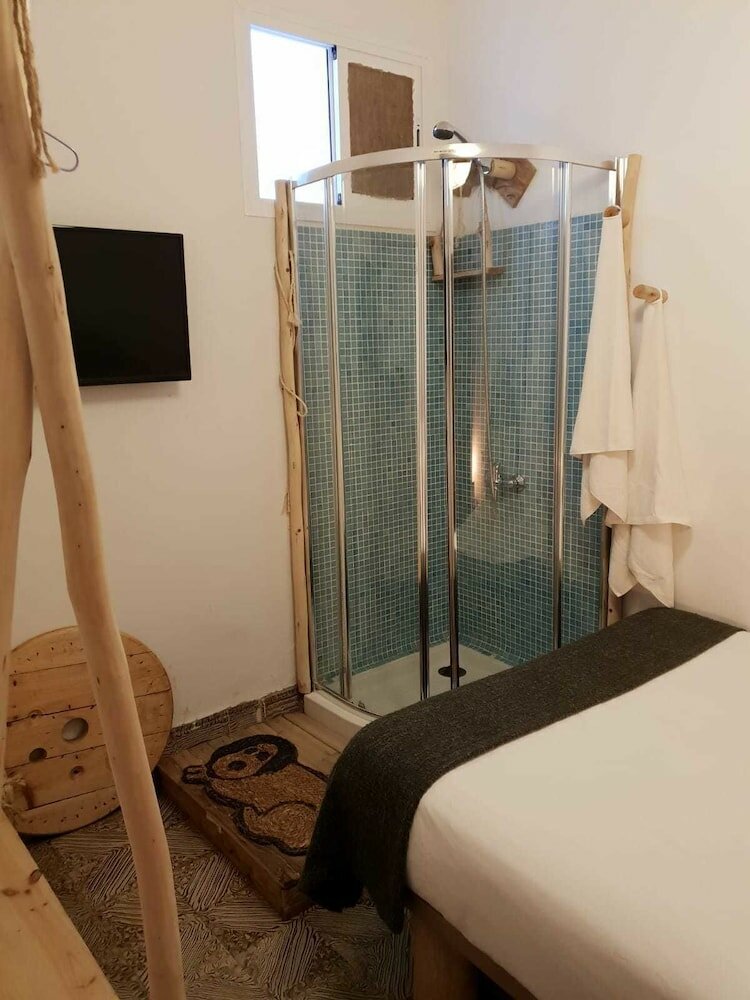 Фото Cactus Host