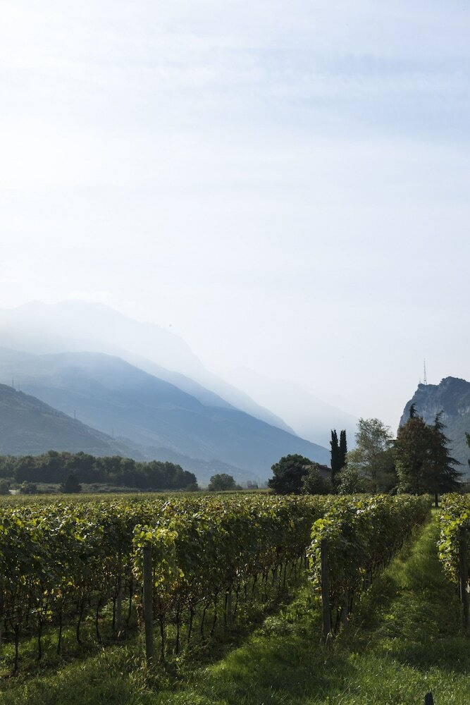 Фото Vivere suites and rooms