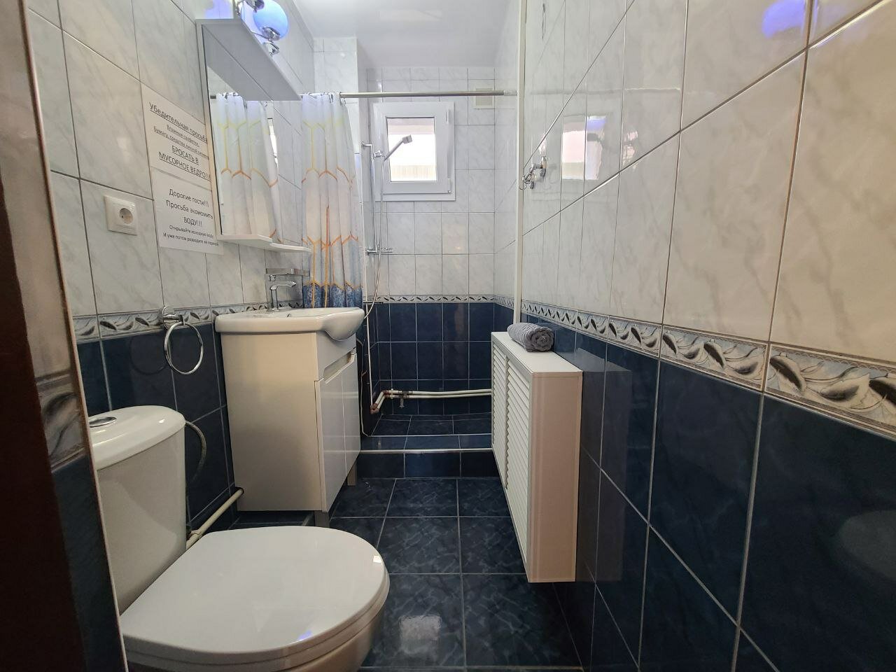 Фото Санита