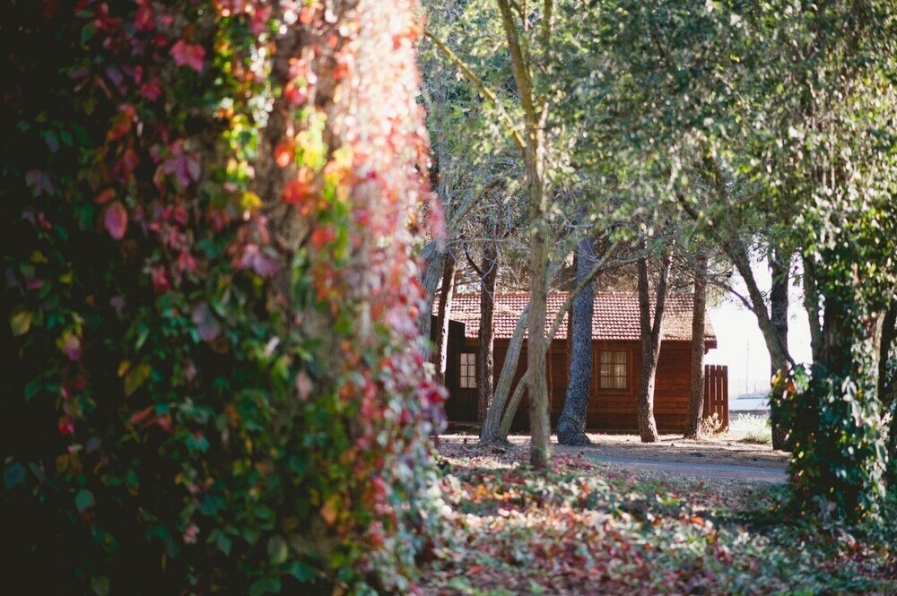 Фото Kibbutz Ortal Tourism