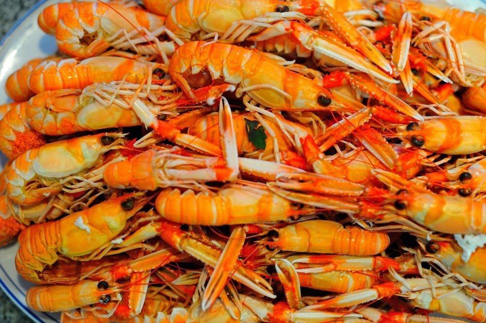 Фото Hotel Restaurante Elisardo