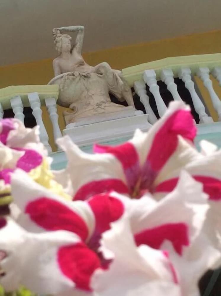 Фото Hotel Cridda